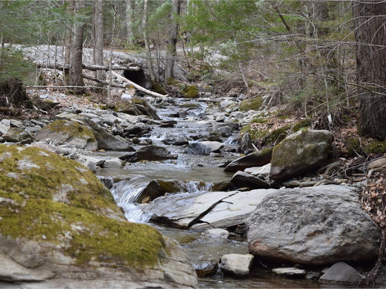 Babbling Brook Across Street