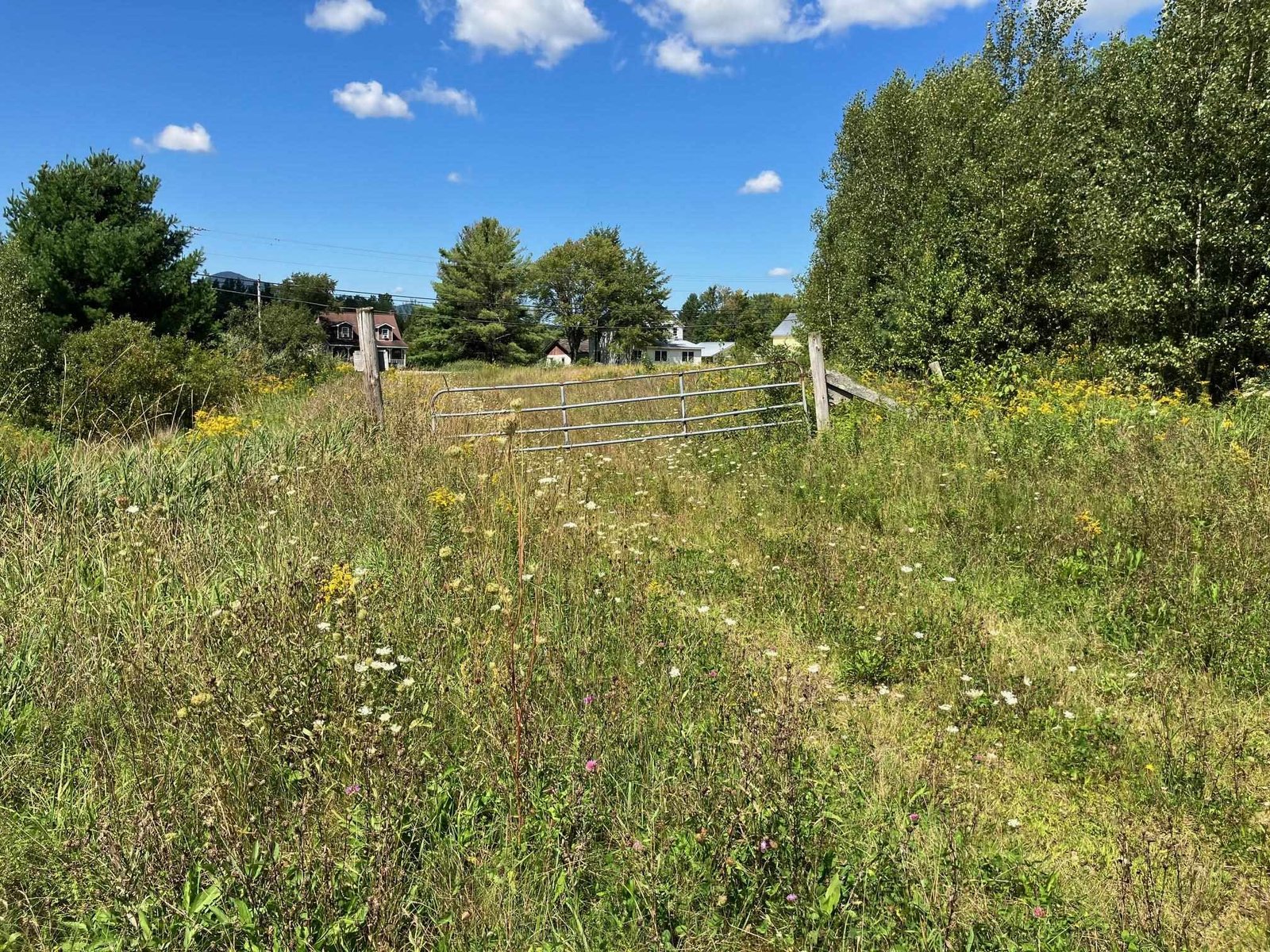 311, Lot 8 Main Street