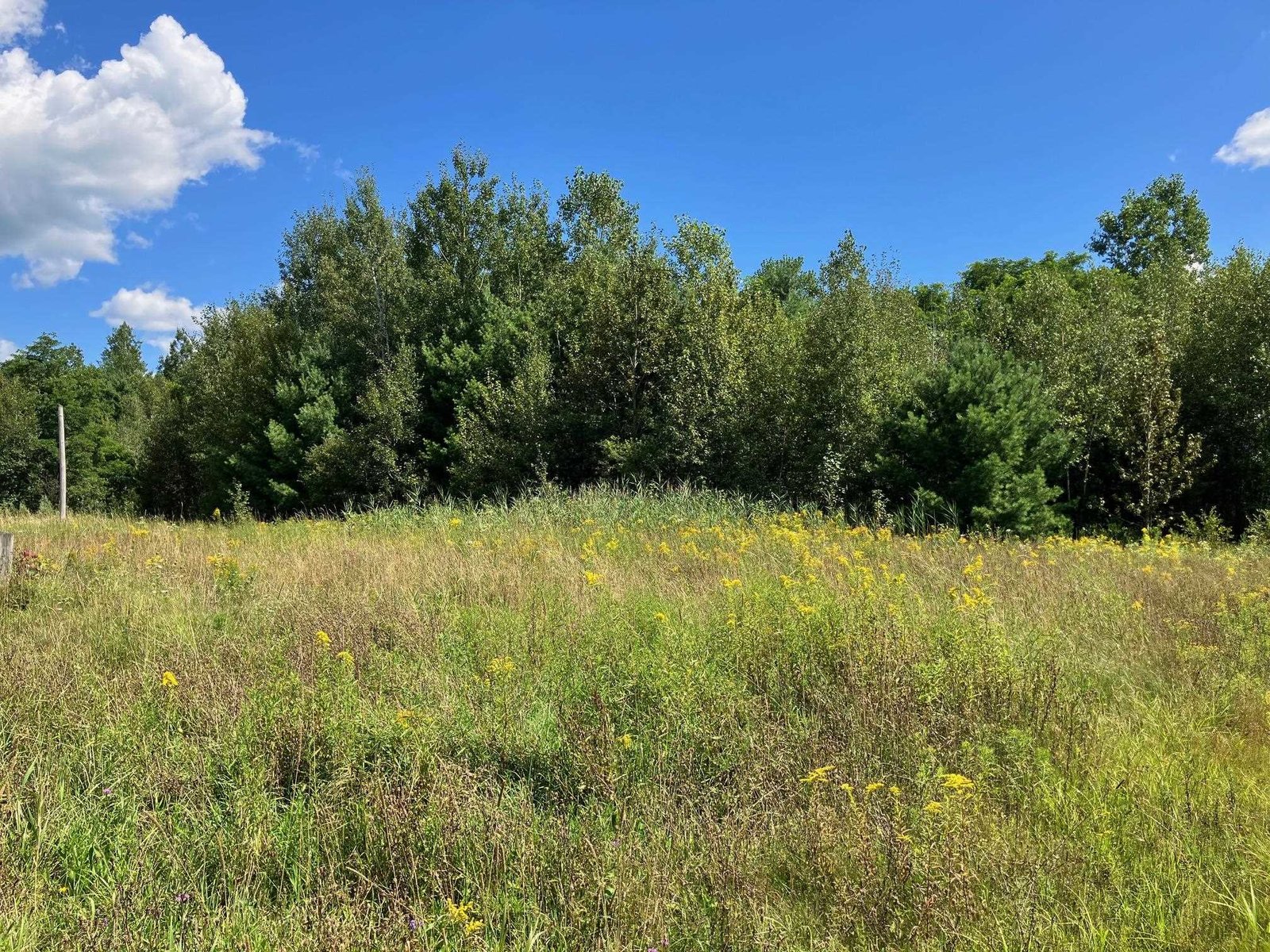 311, Lot 8 Main Street