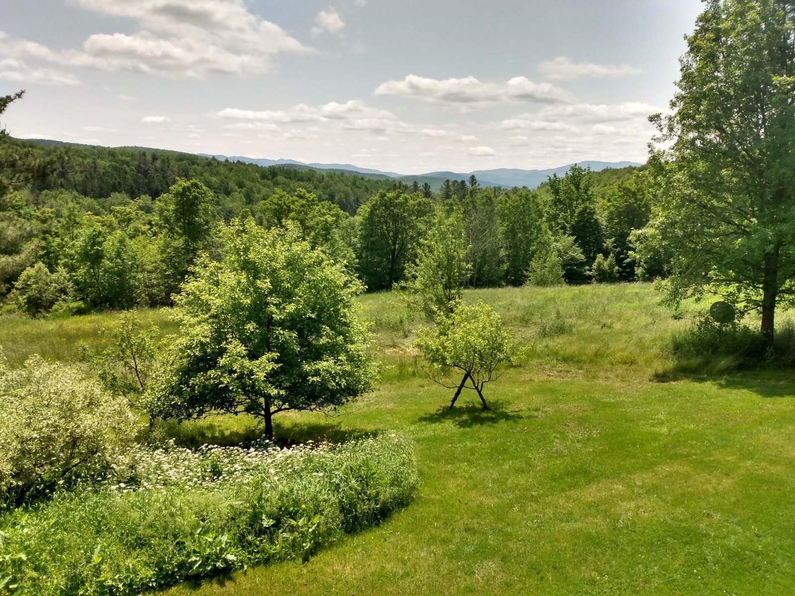 311 Wightman Hill Road