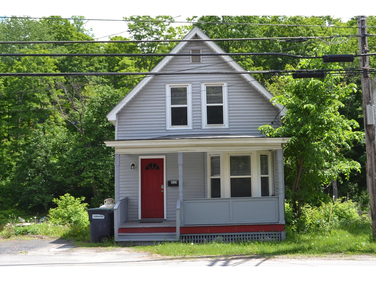 313 Elm Street