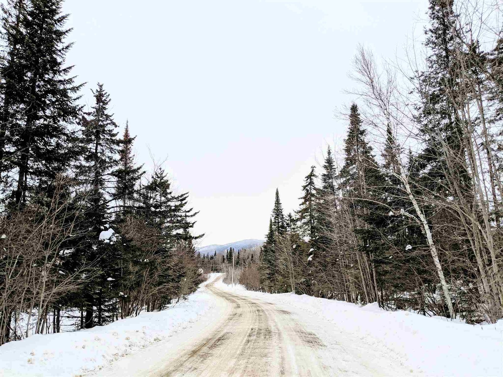 31.5 Ac Cheney Road