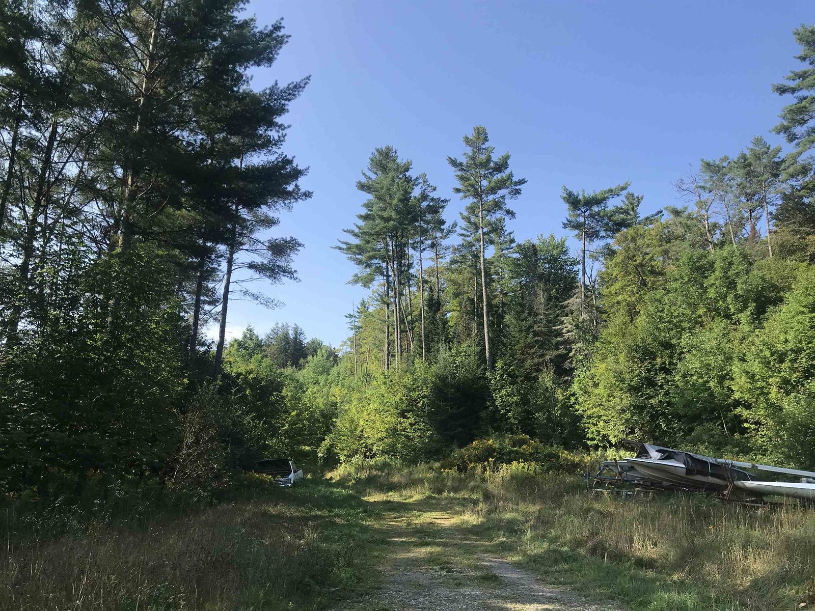 315 Chickering Road