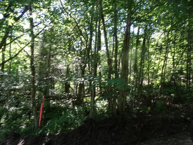 315 Mud Road