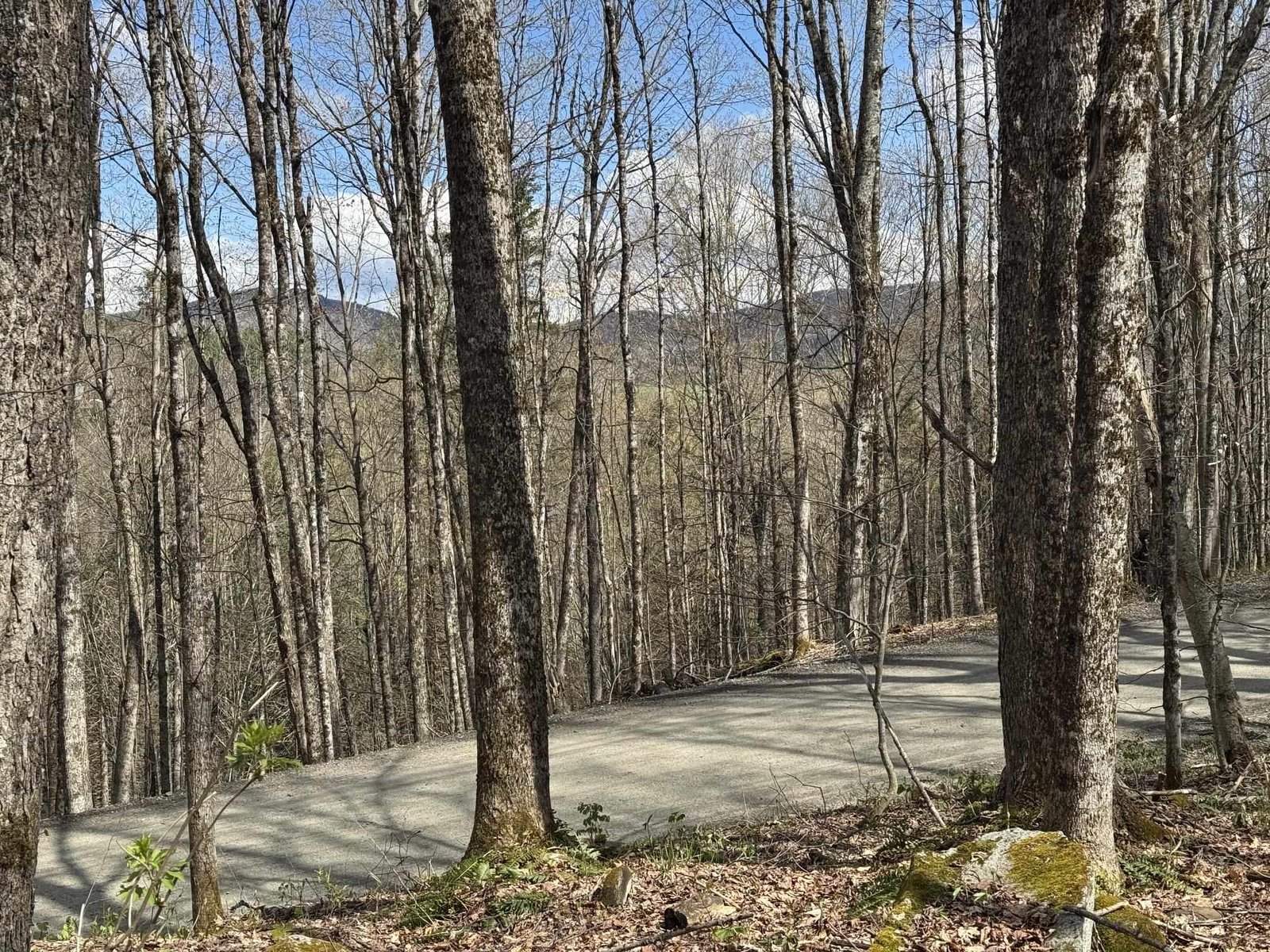 316 Last Road, Cabot