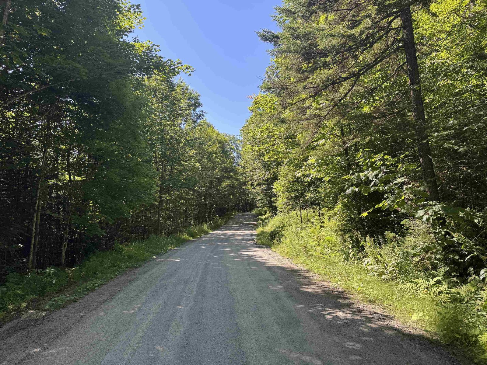 316 Last Road