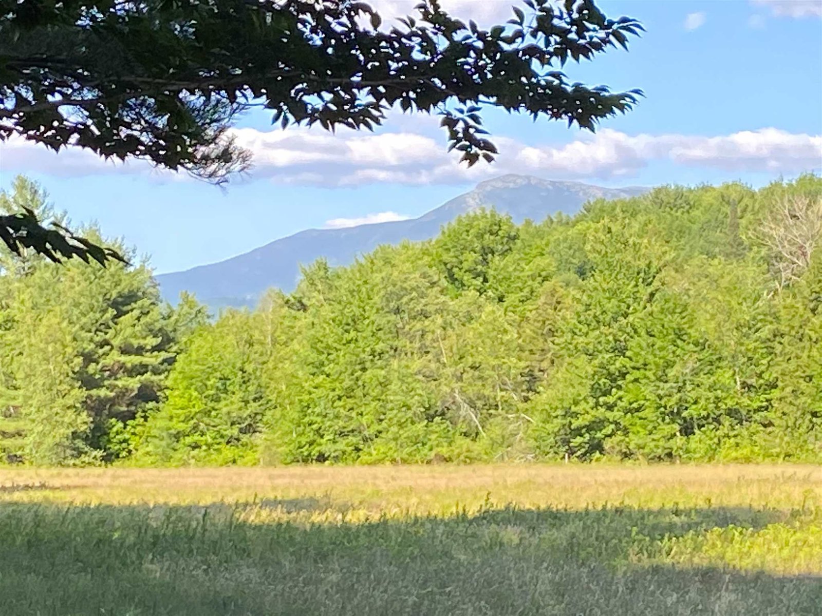 316 VT Route 15