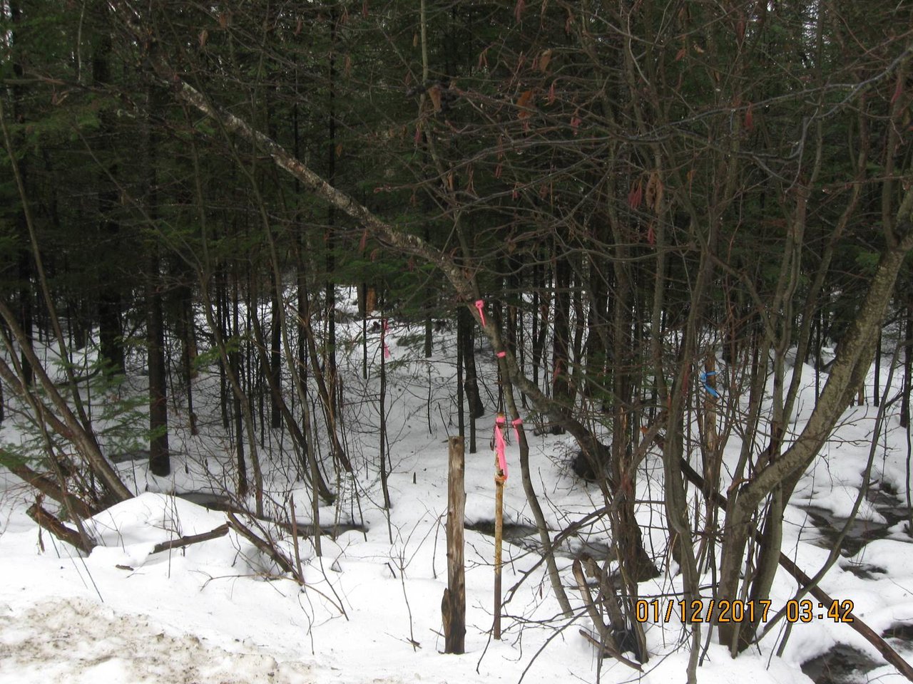 3161 Perley Road