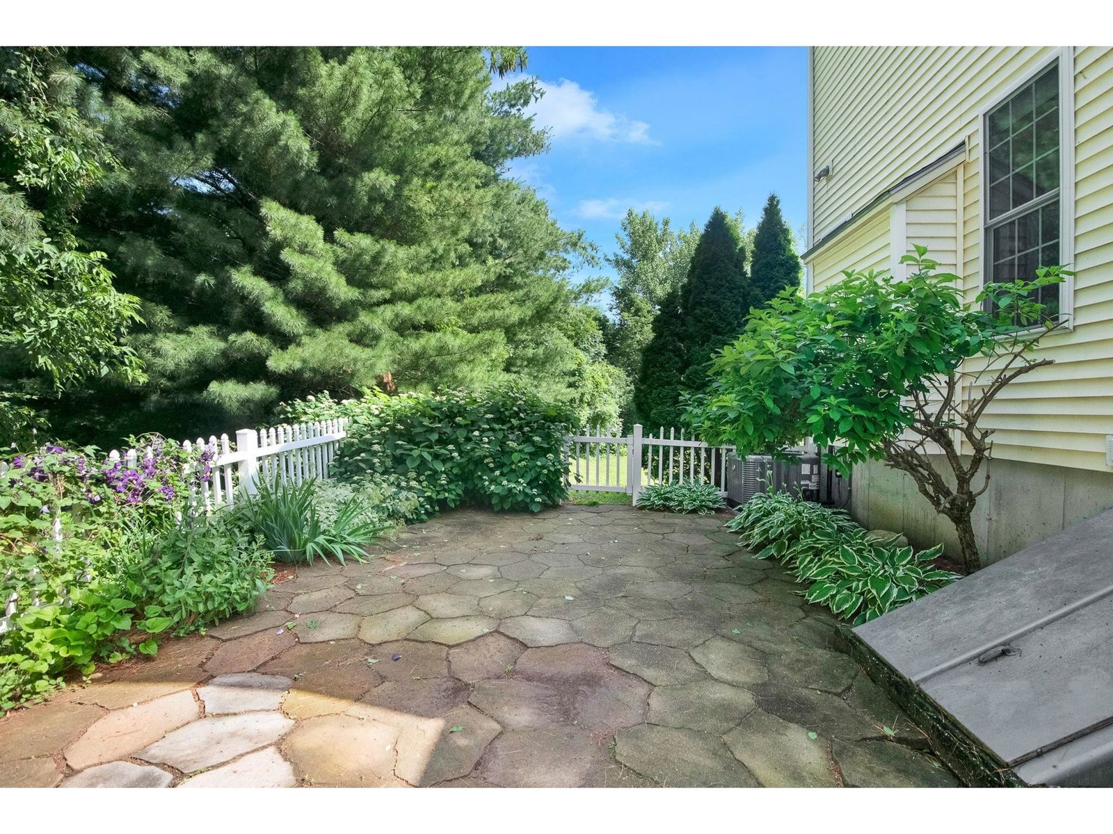 317 Abigail Drive