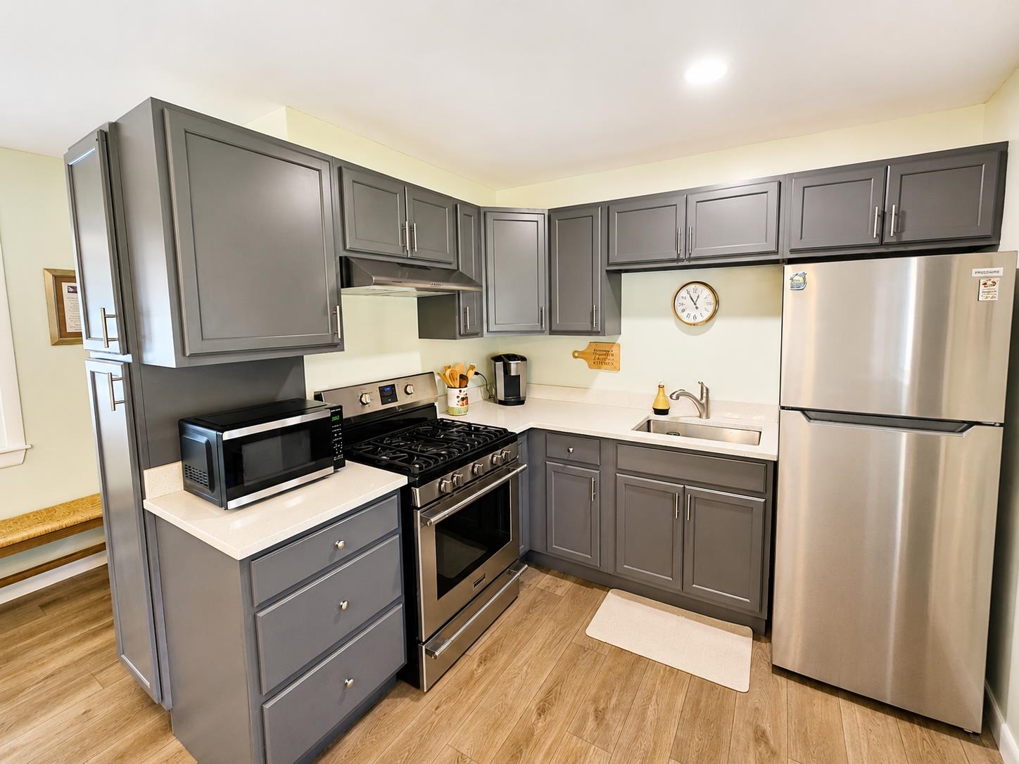 Stainless Appliances & Quartz Counters