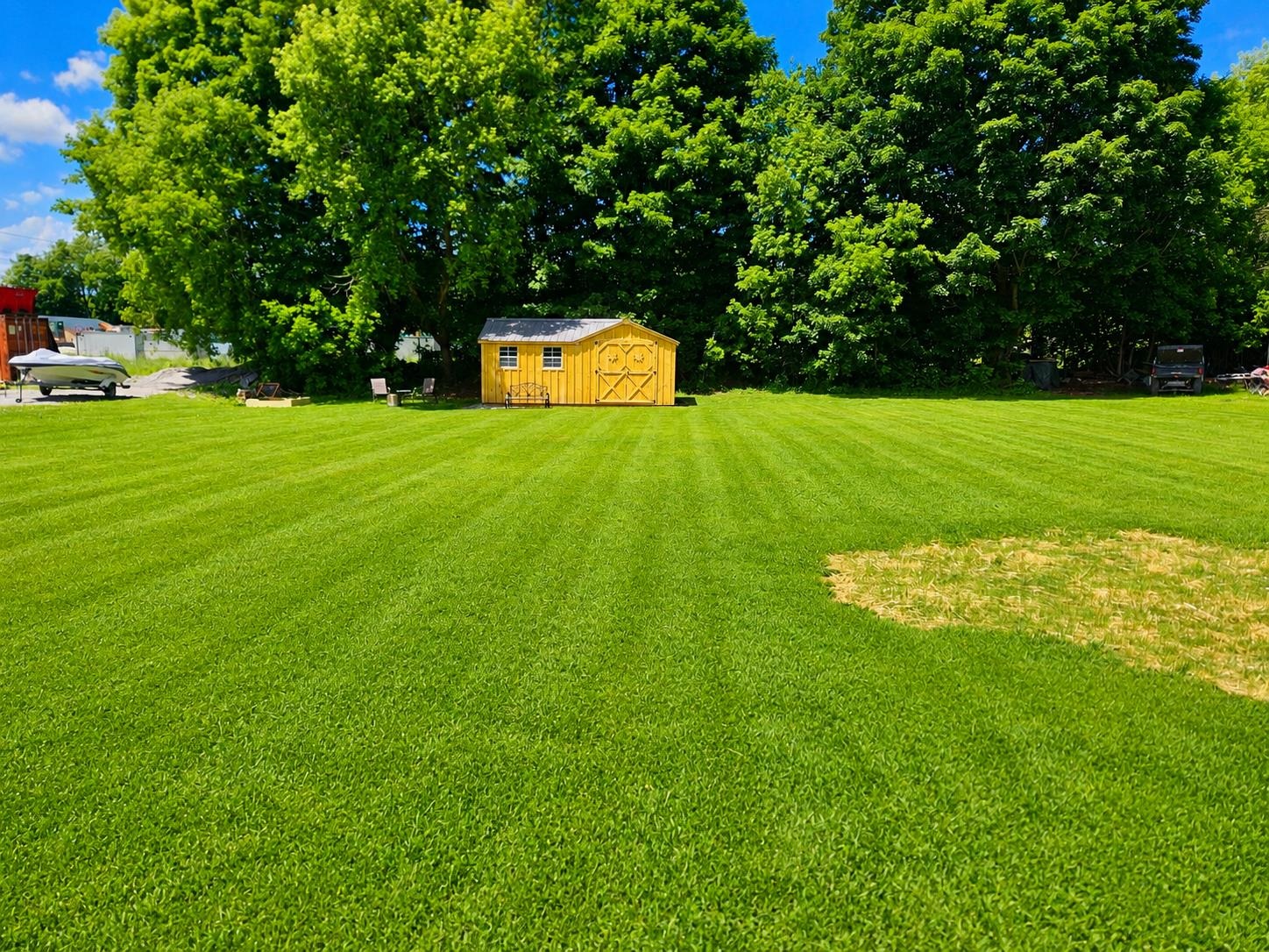 Back Yard