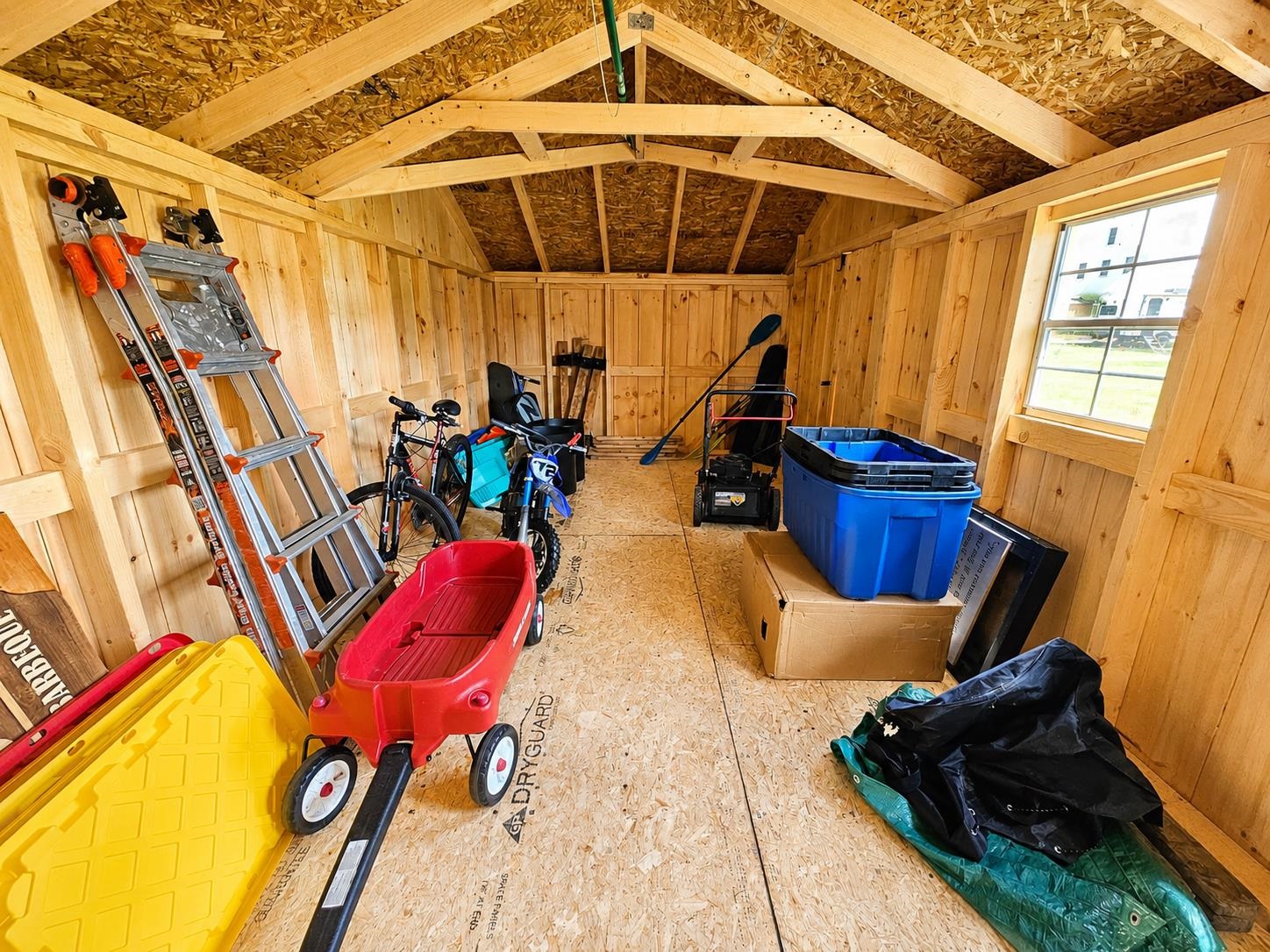 Shed