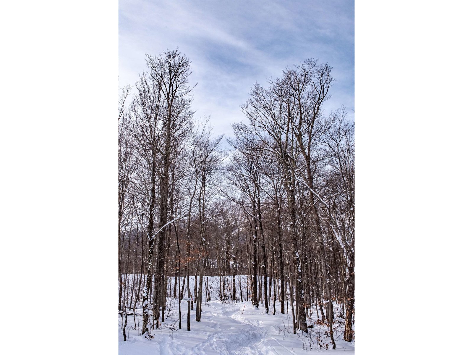 319 Jay Peak Road, Unit 4706