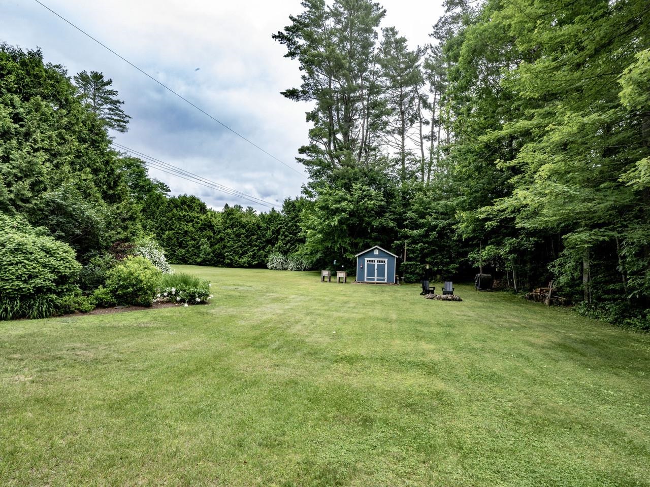 Backyard view