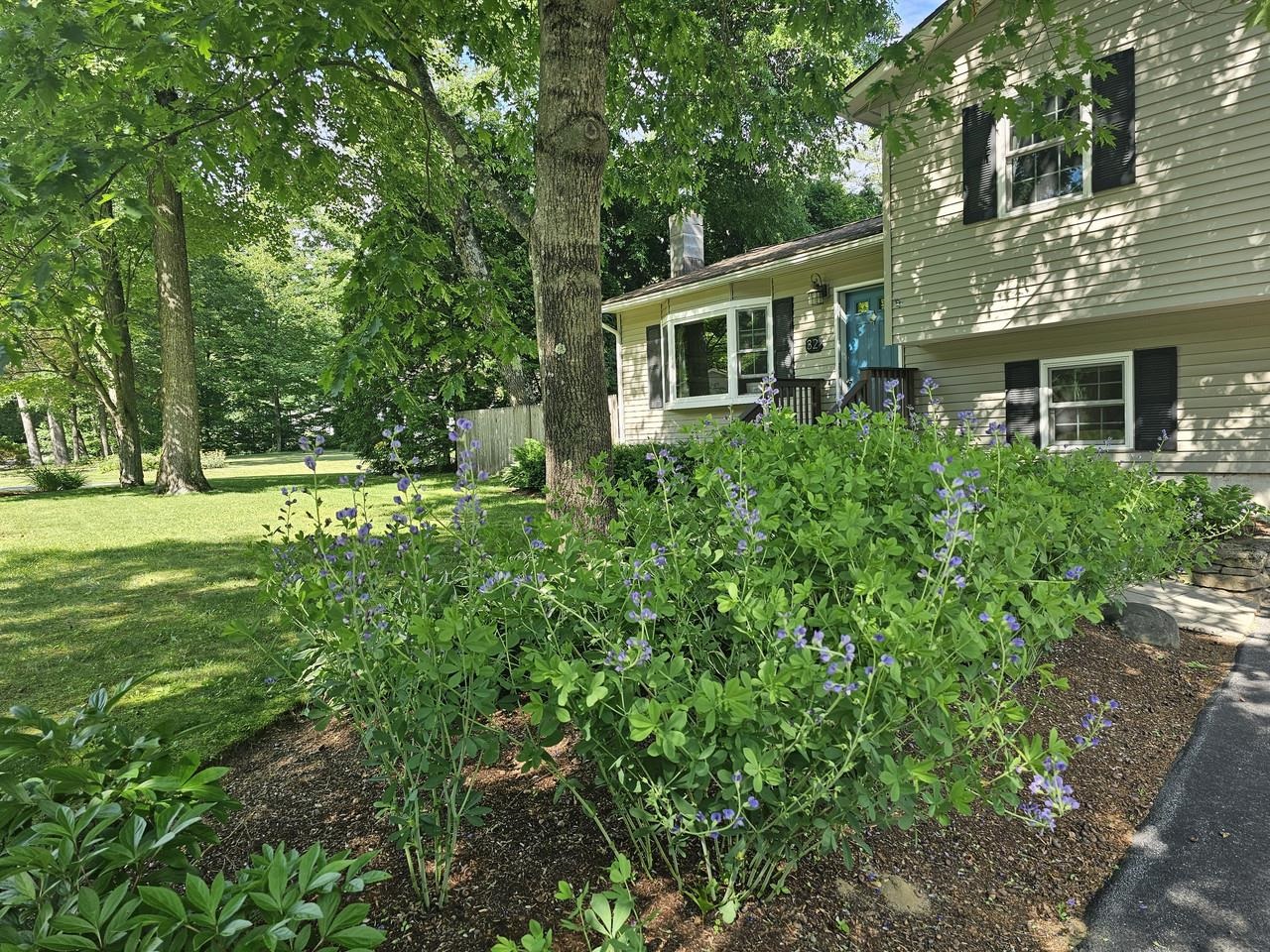 From the landscaping