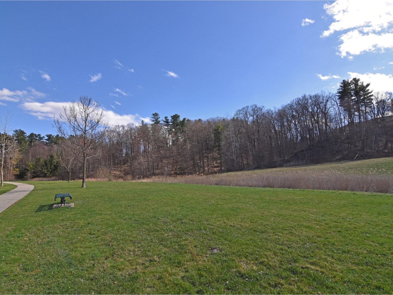 Park-like common land