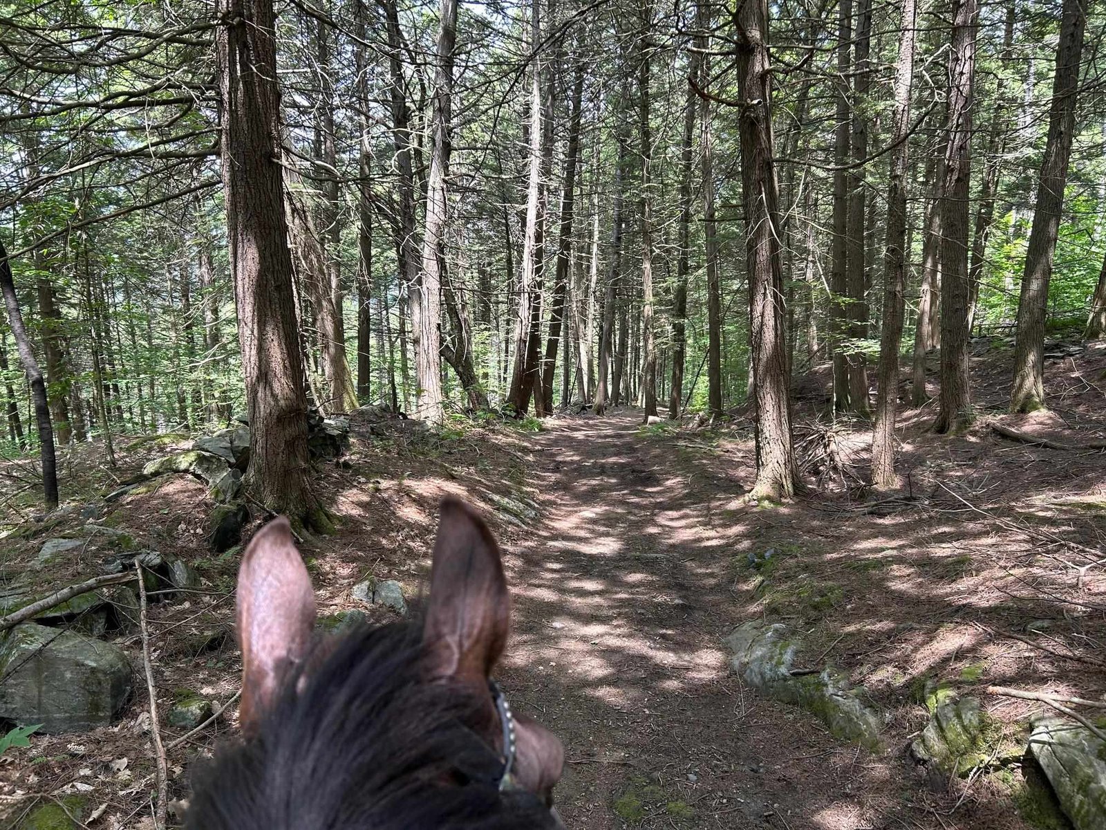 Happy Trails!