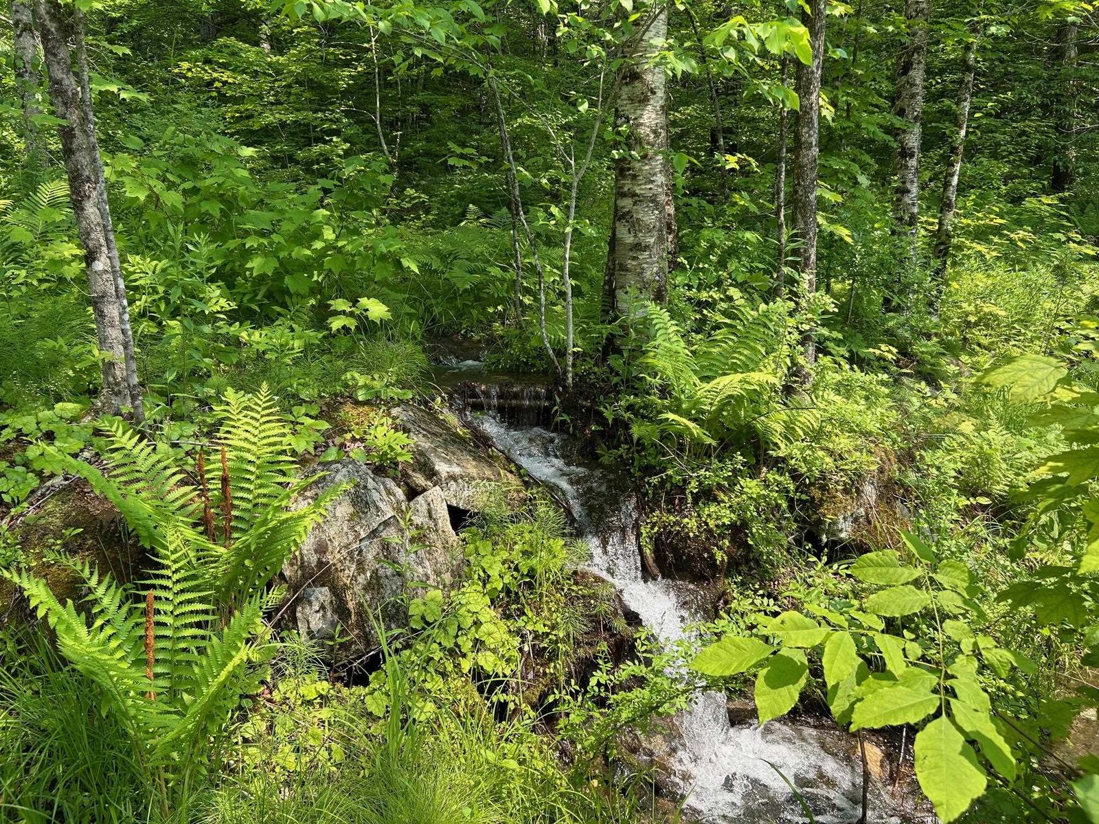 Pretty waterfall