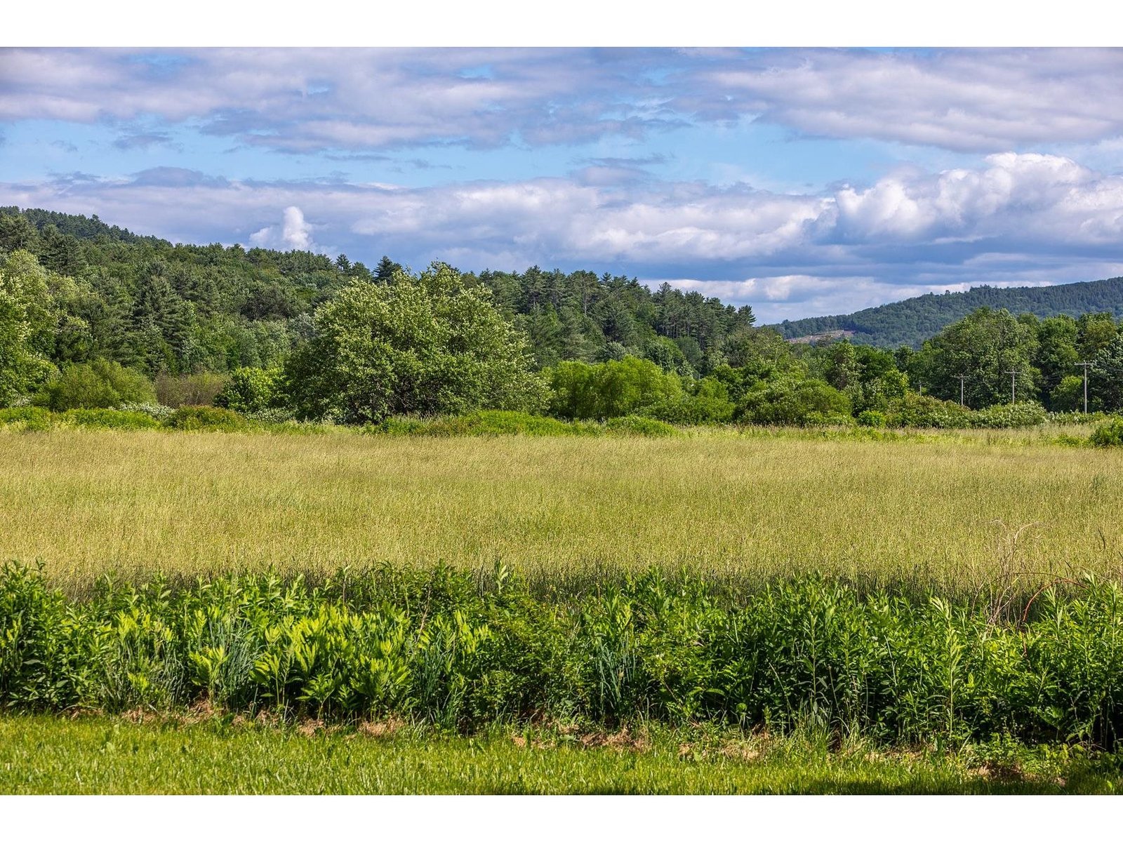 3208 Green Mountain Turnpike