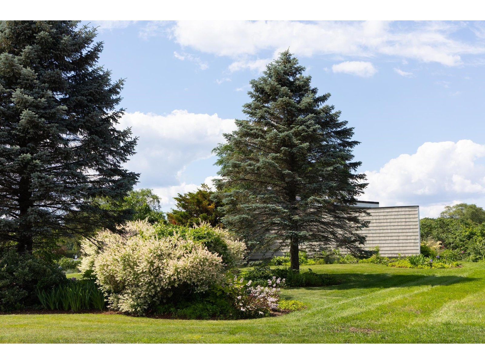 323 Buckingham Drive