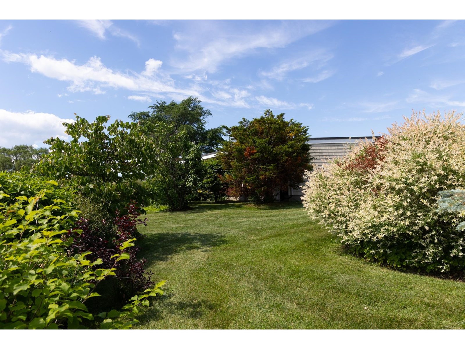 323 Buckingham Drive