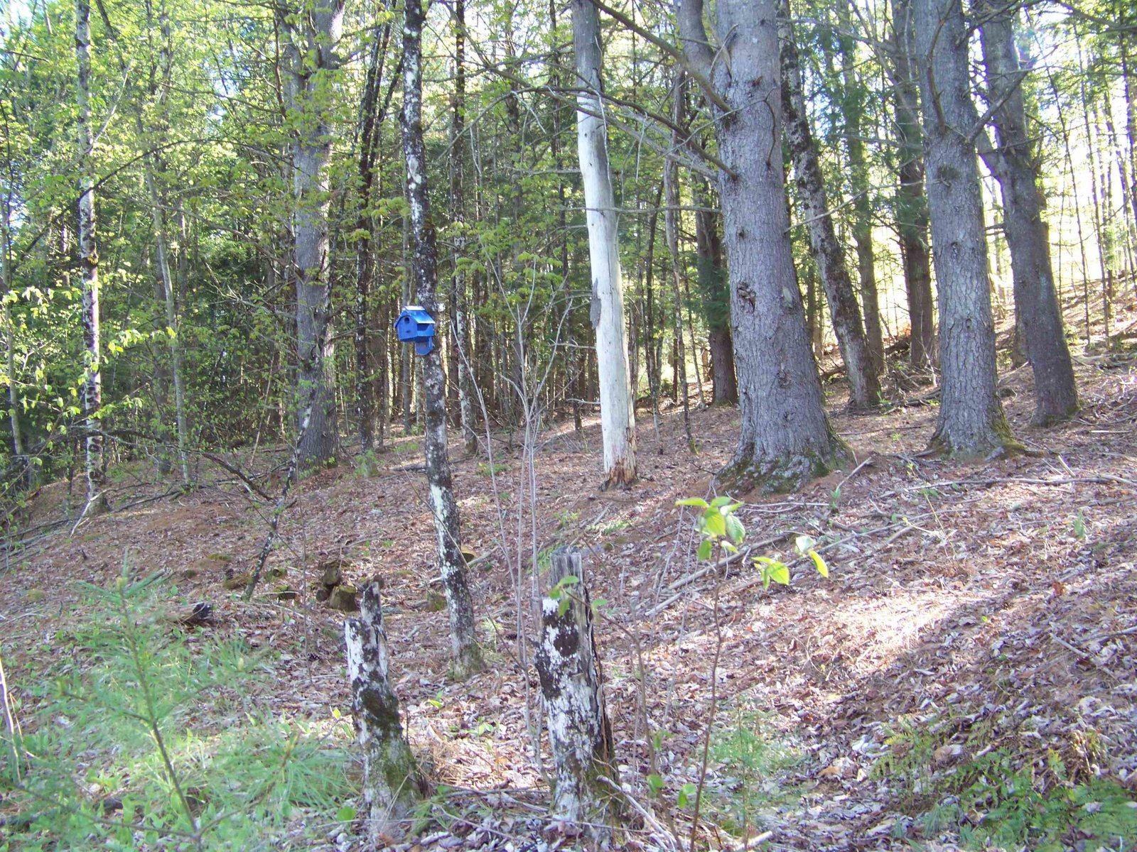 324 Sunrise Road