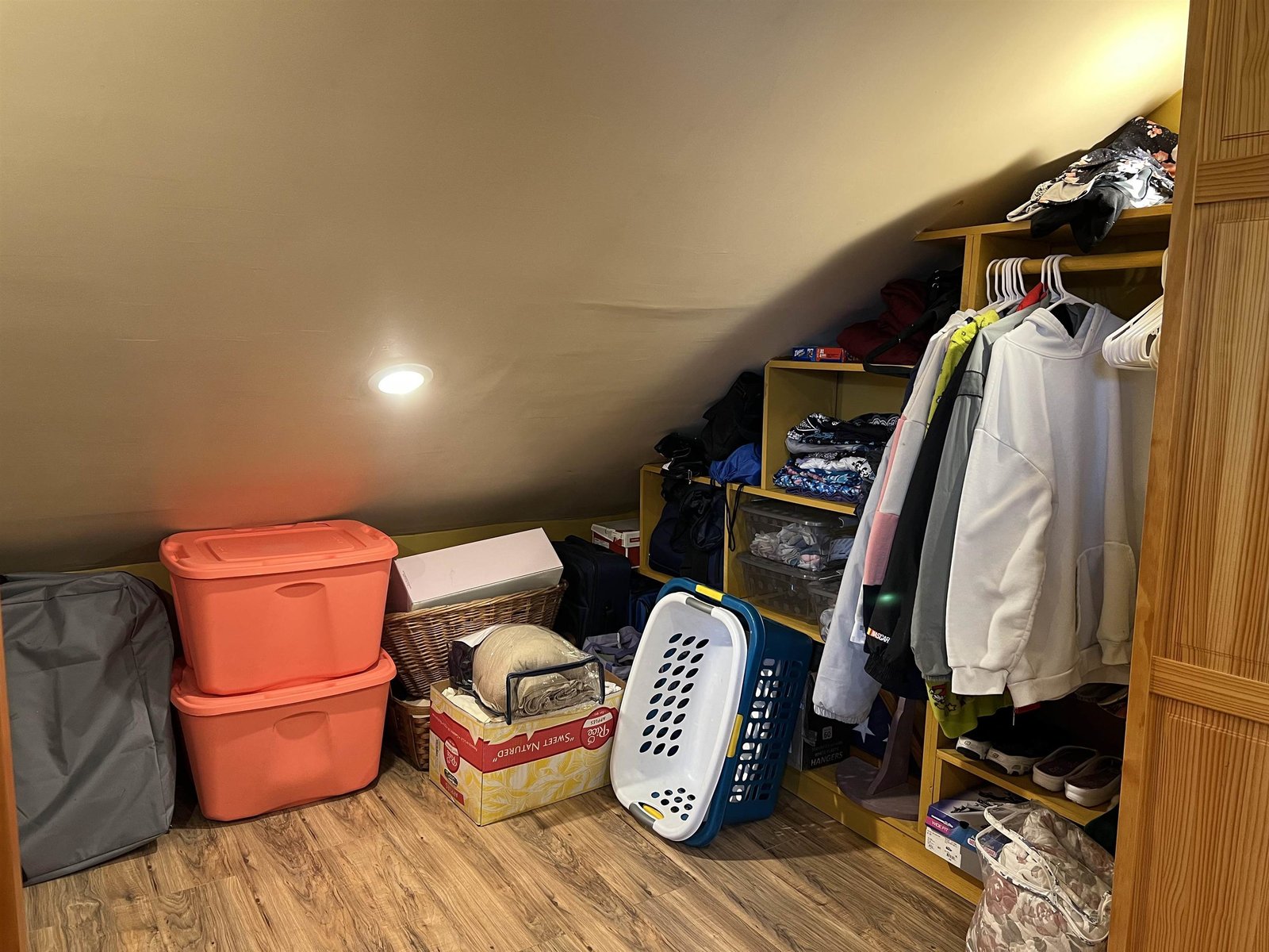 Master Walk-in closet