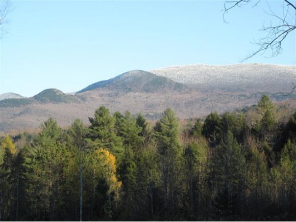 329 Adams Mill Road