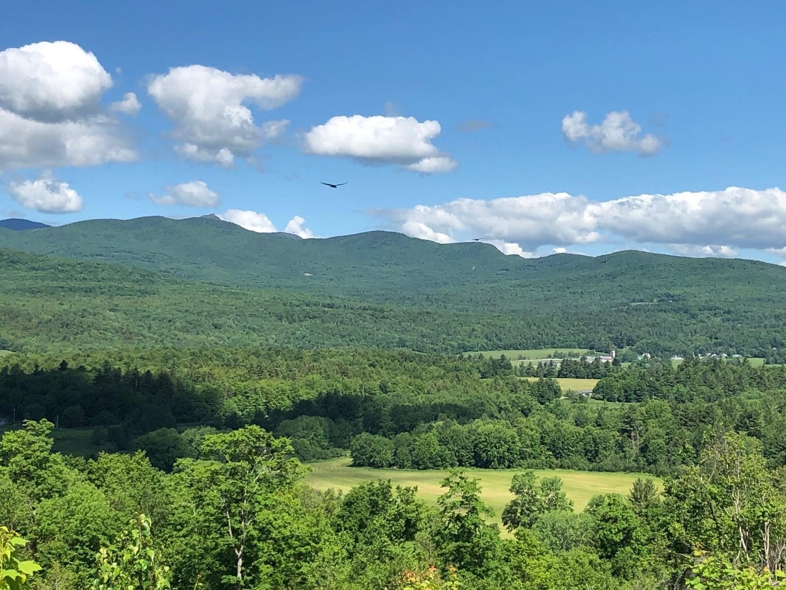 329 Fox Run