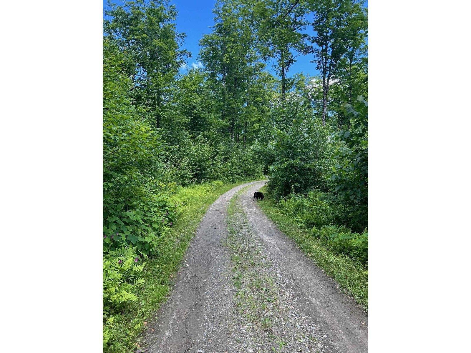 329 Fox Run