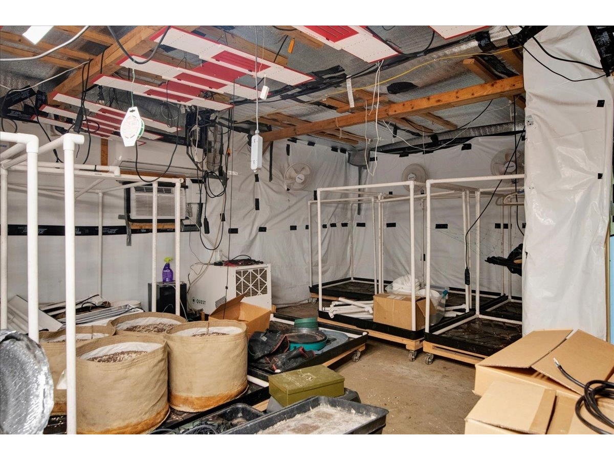 Commercial Cannabis Space