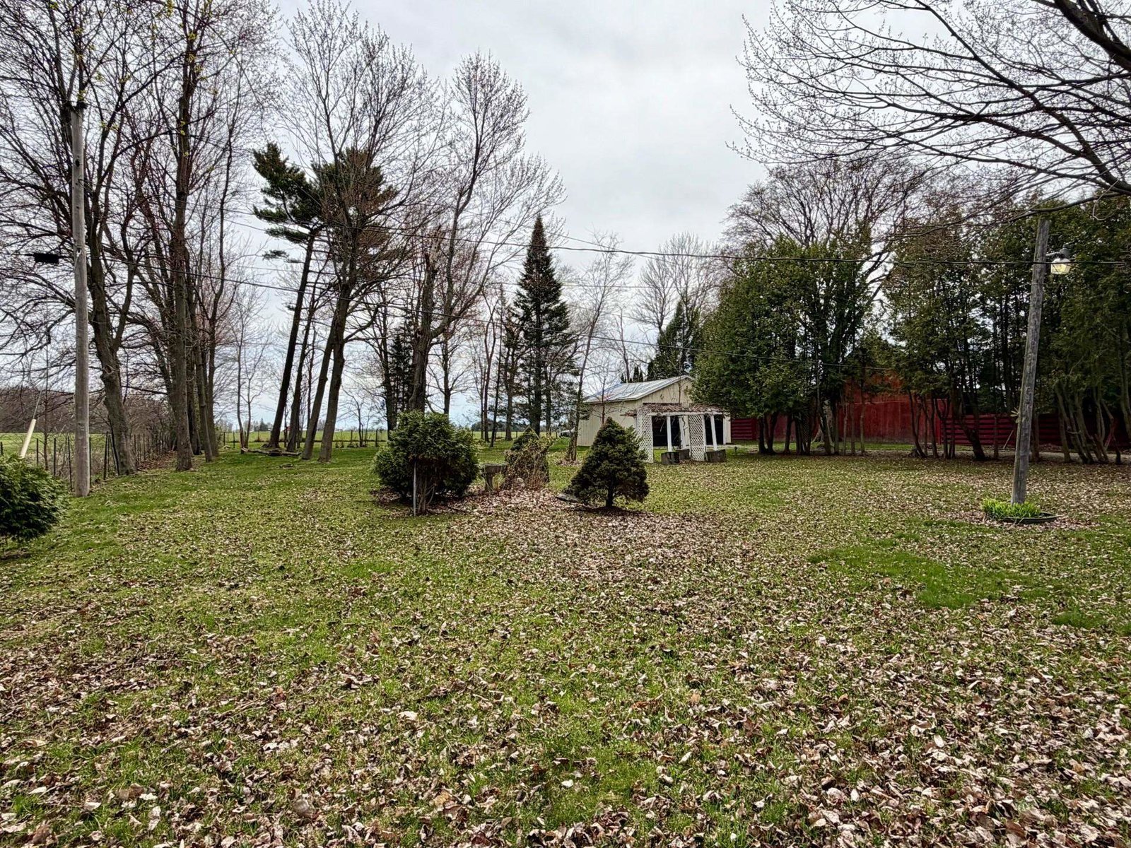 33 Leo Drive