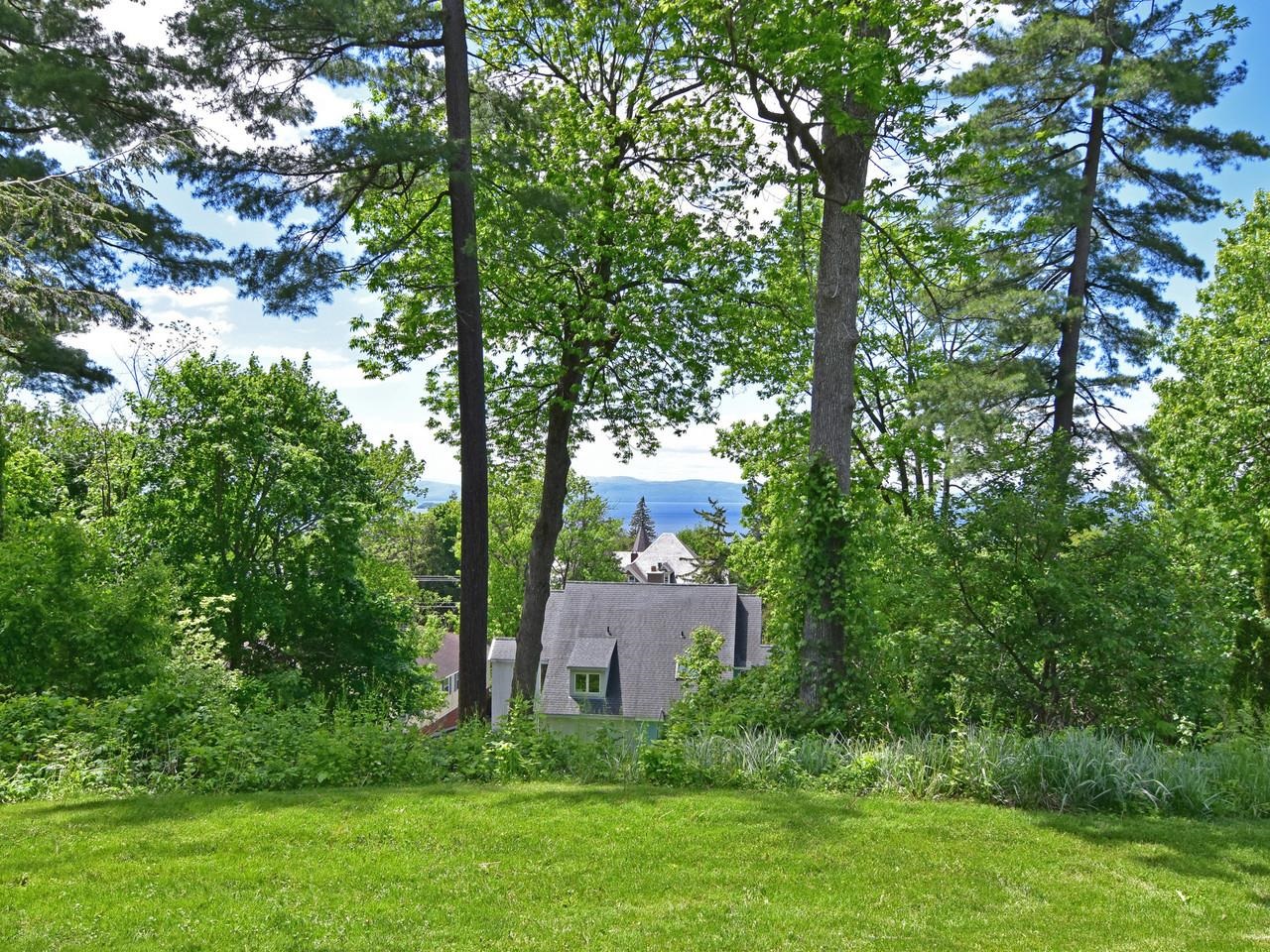 View to Adirondack Mountains