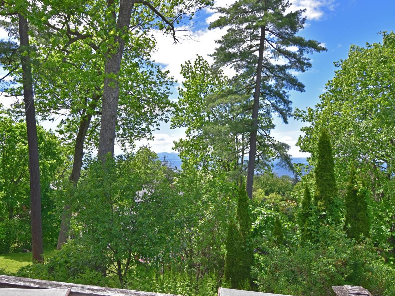 Lake & mountain views
