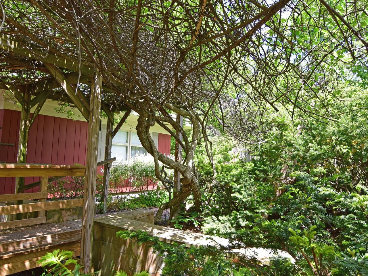Mature landscaping