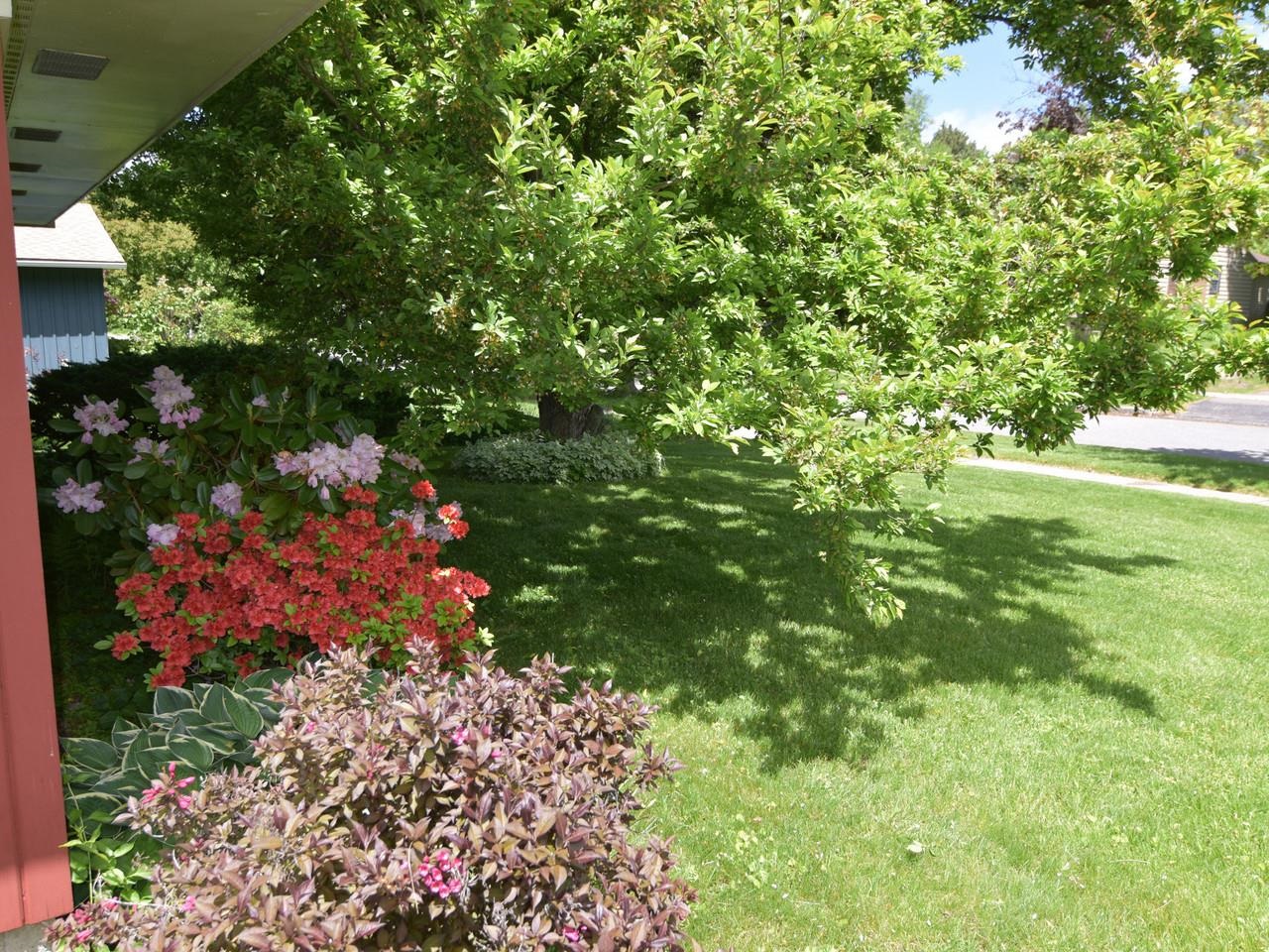 Perennials all around