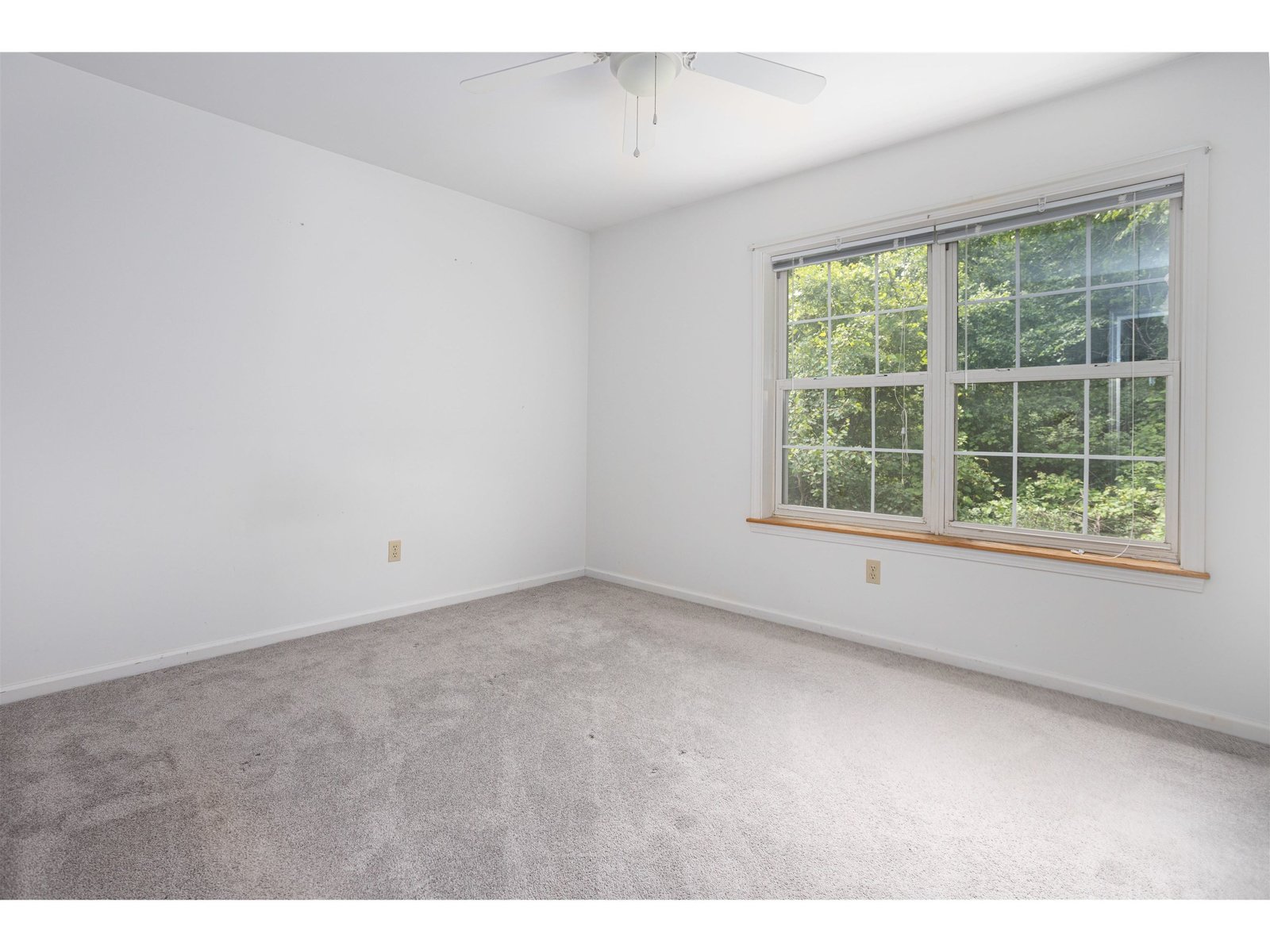 331 Cedar Lane