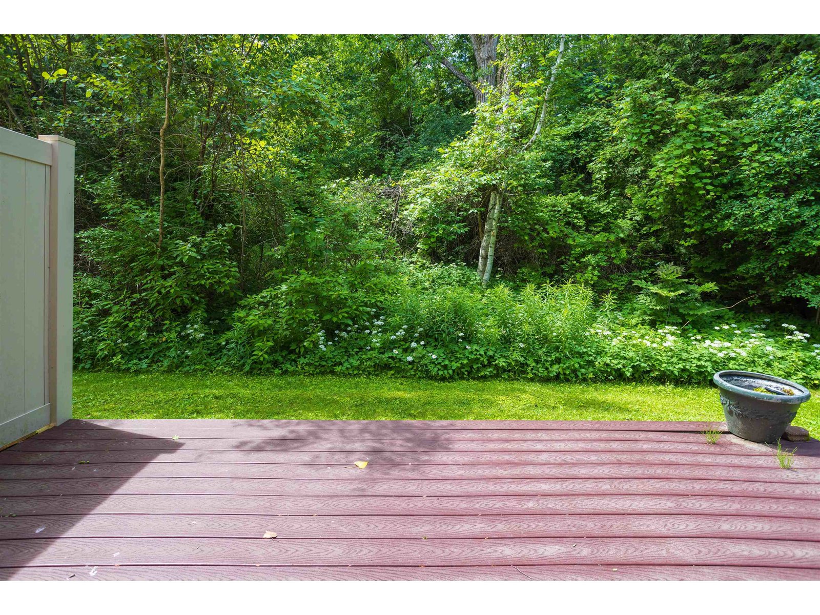 331 Cedar Lane