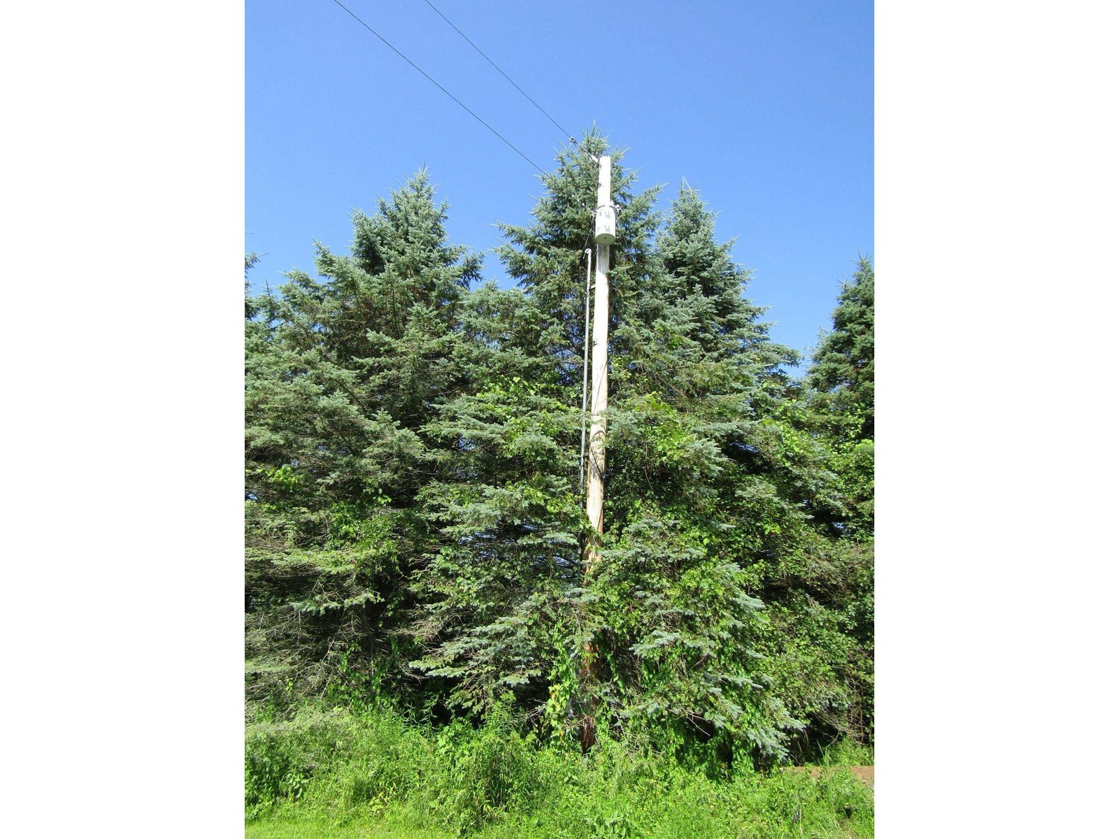 331 Gilman, Lot 3 Road