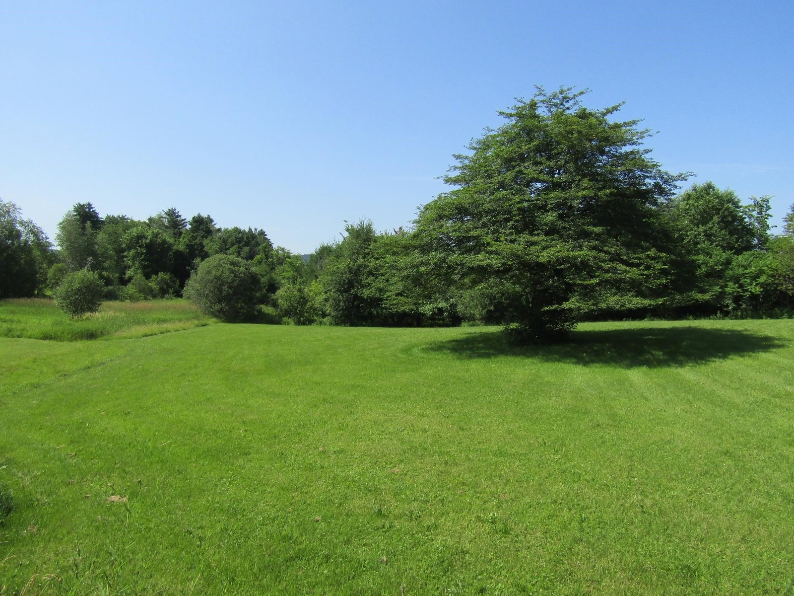 331 Gilman, Lot 3 Road