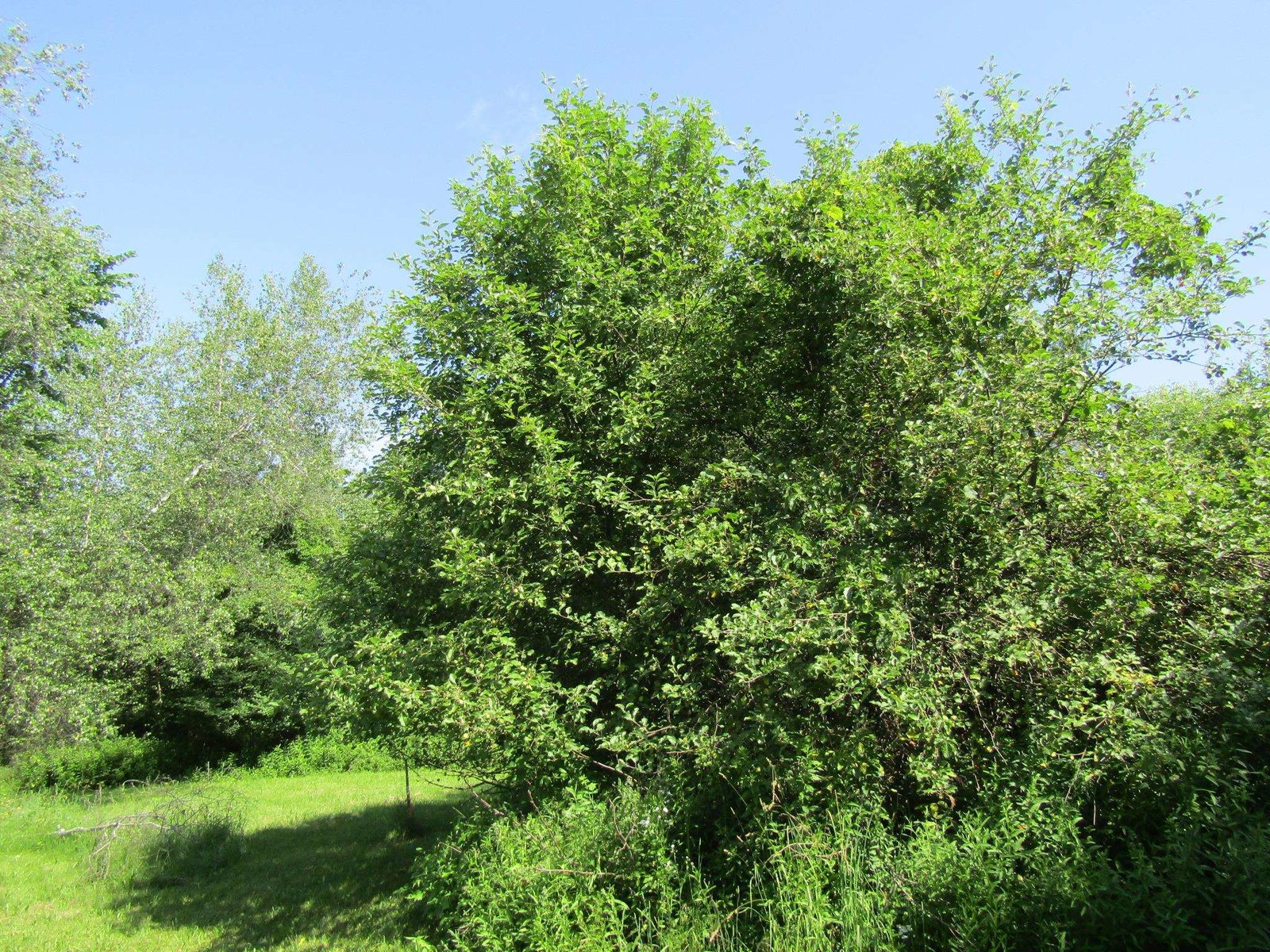 331 Gilman, Lot 3 Road