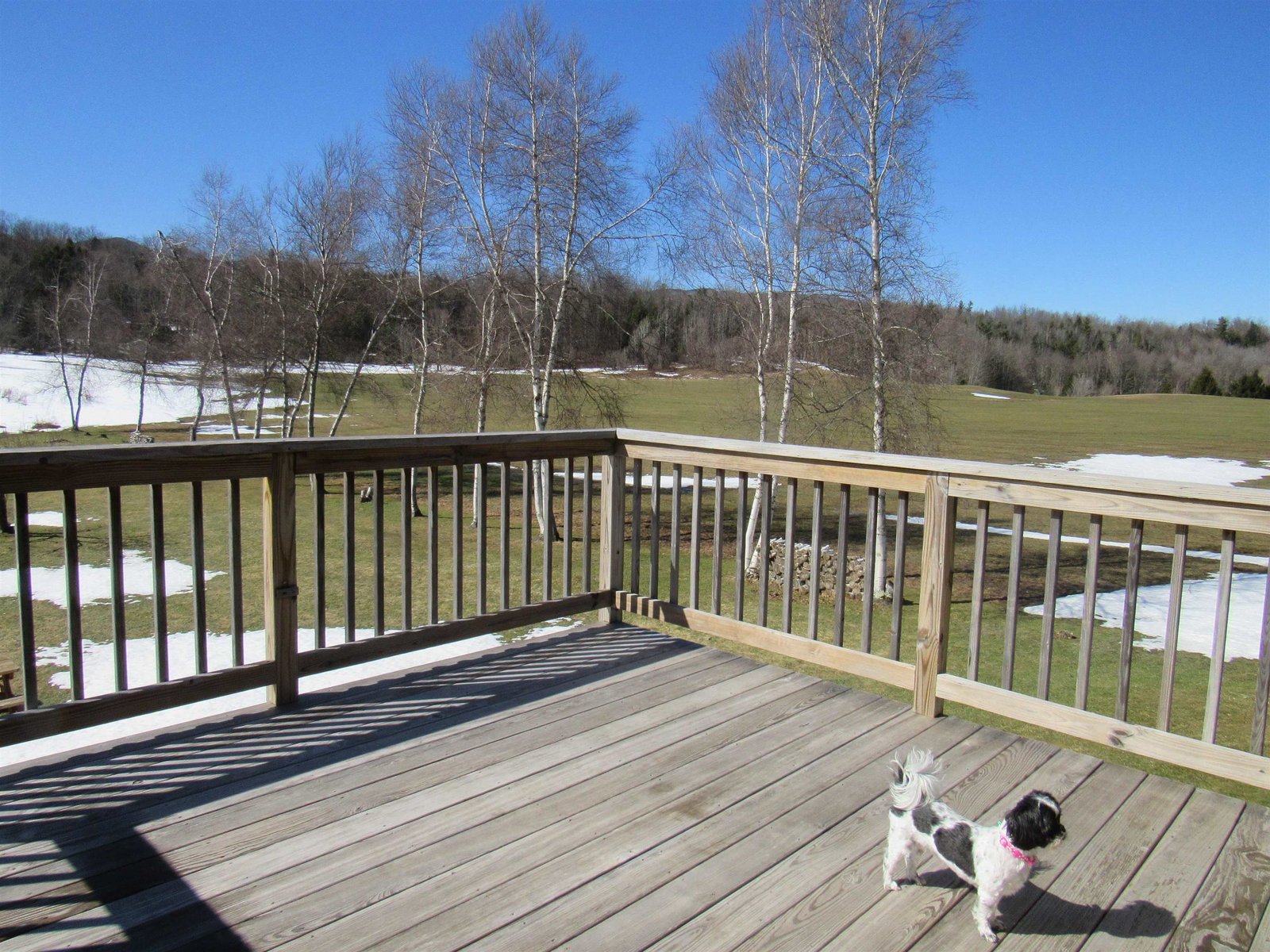 You will Enjoy this Back Deck