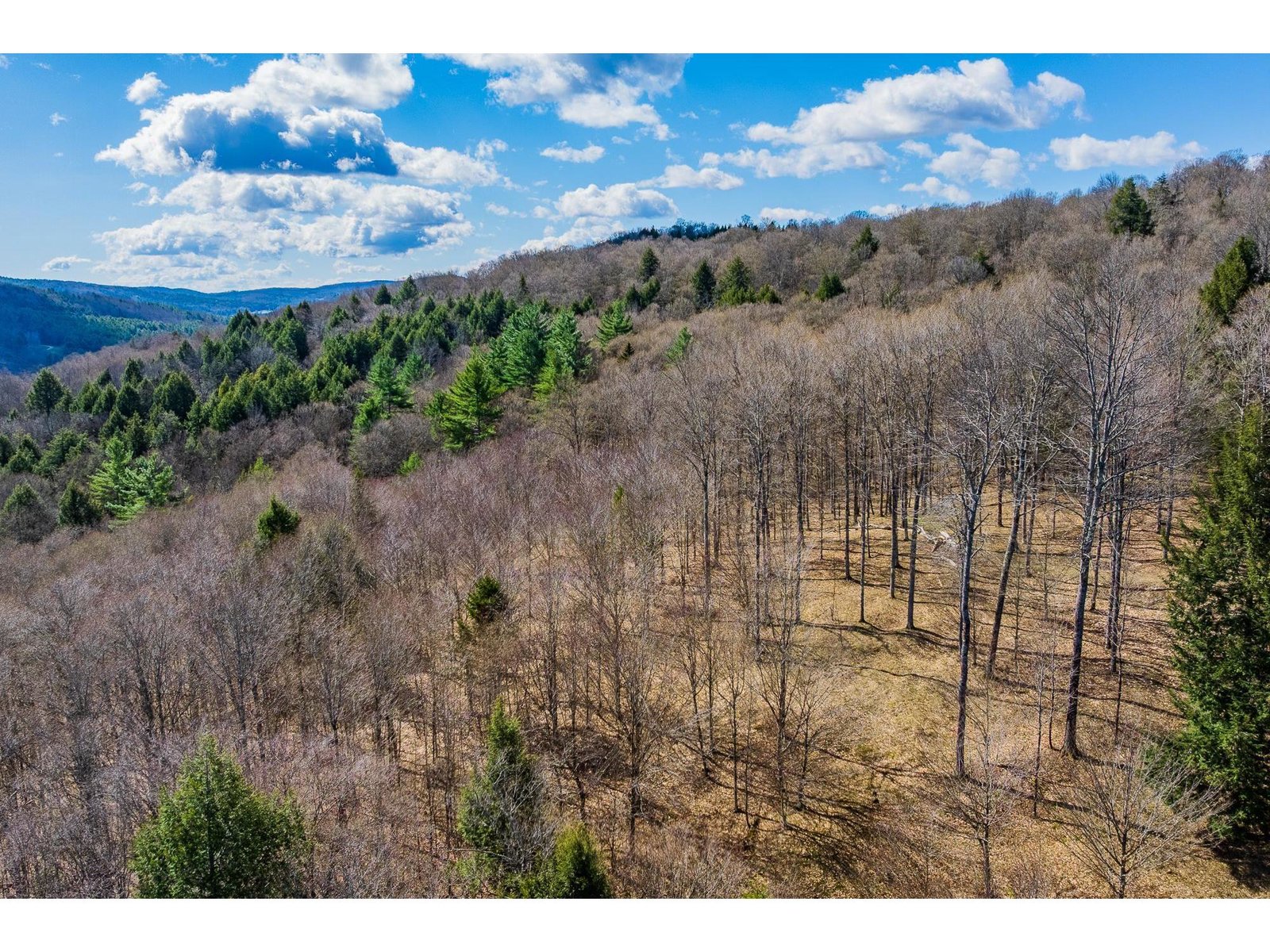 334 Log Cabin Drive