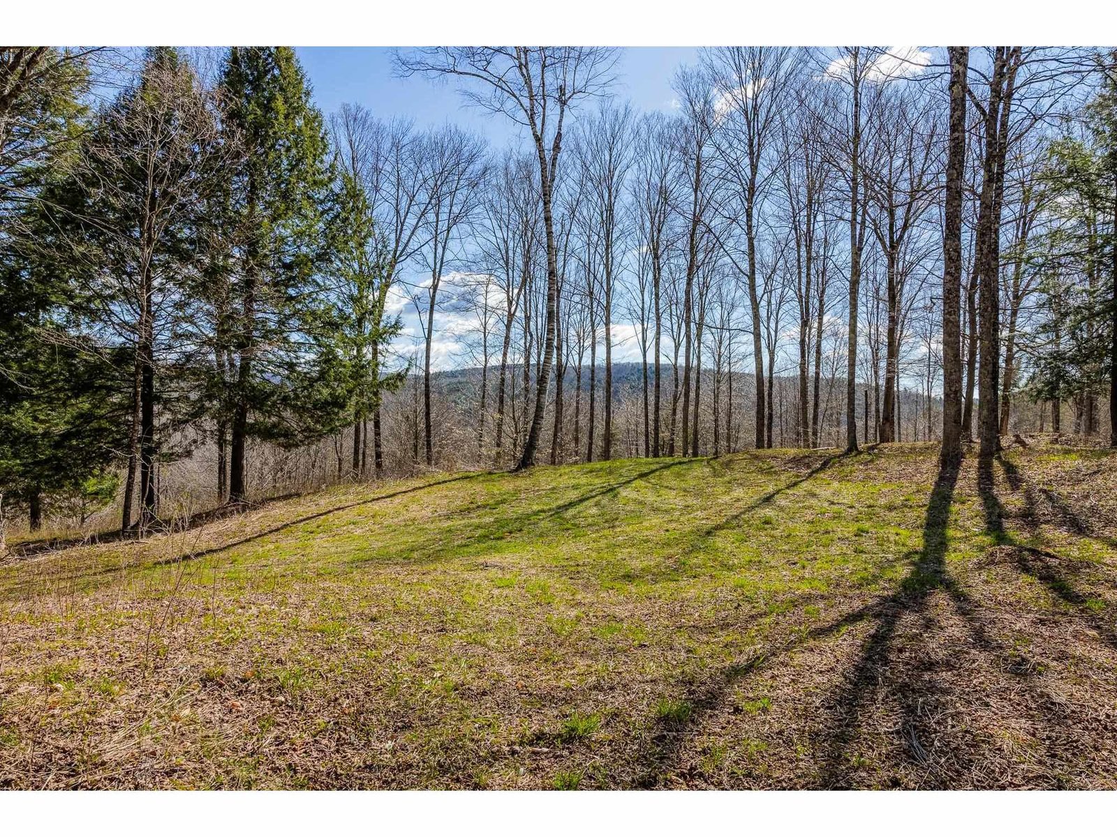 334 Log Cabin Drive
