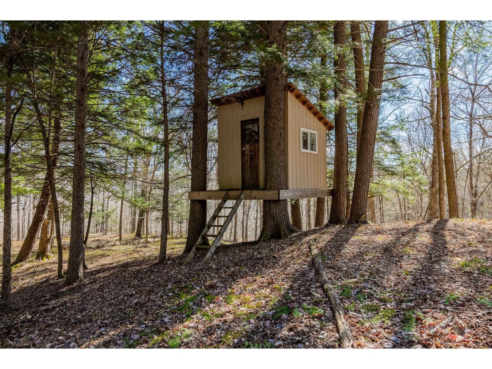 334 Log Cabin Drive