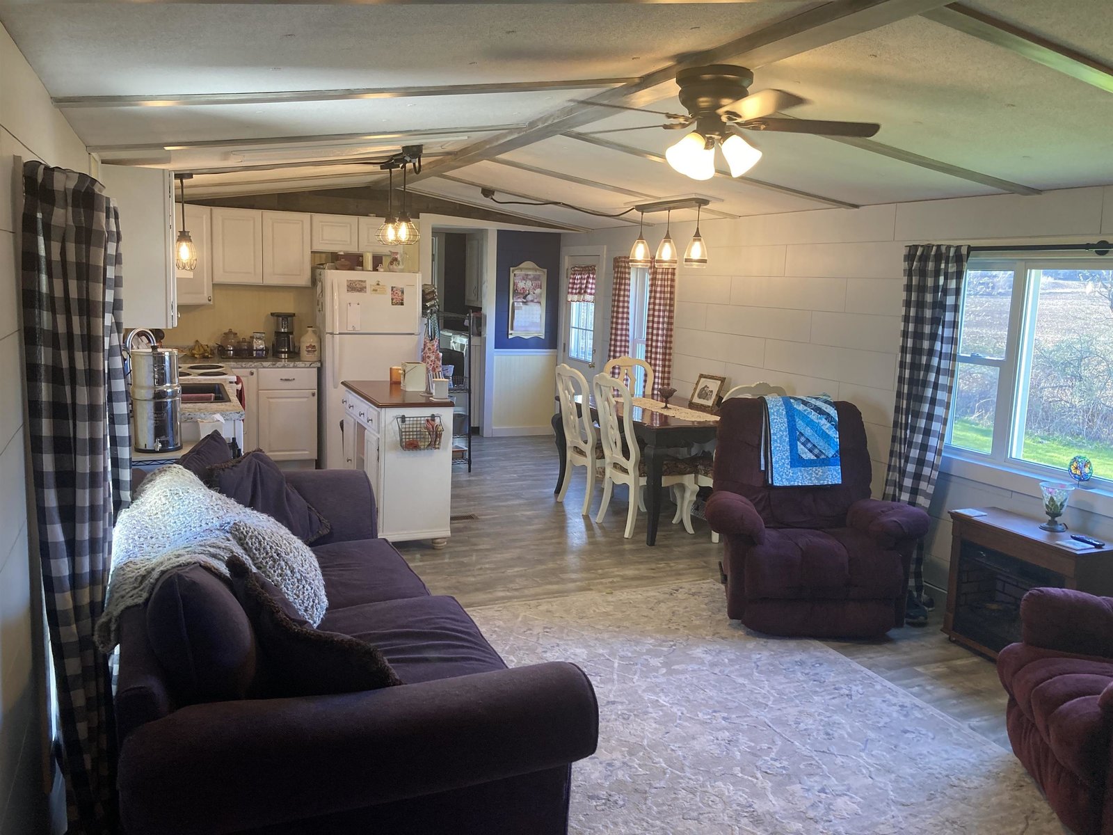 Living room and kitchen