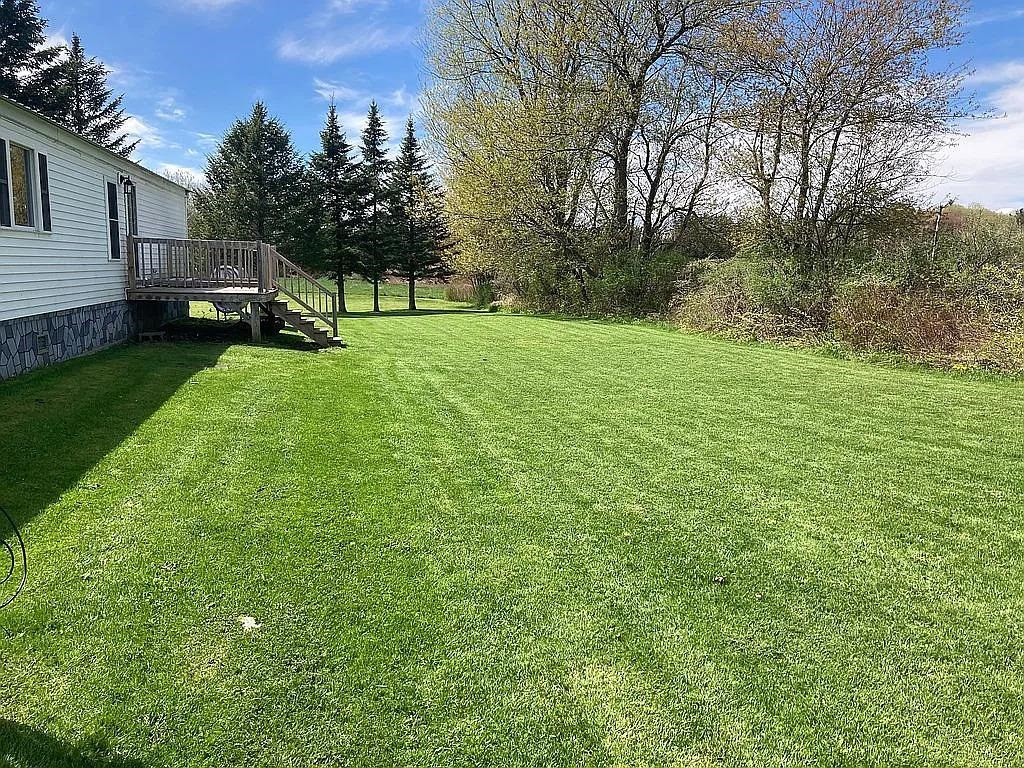Large backyard