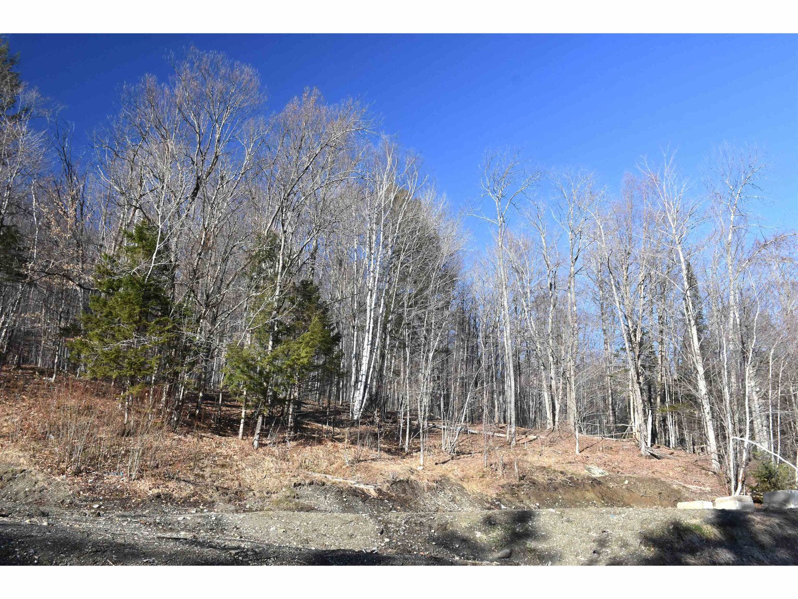 3356 Stony Brook Road