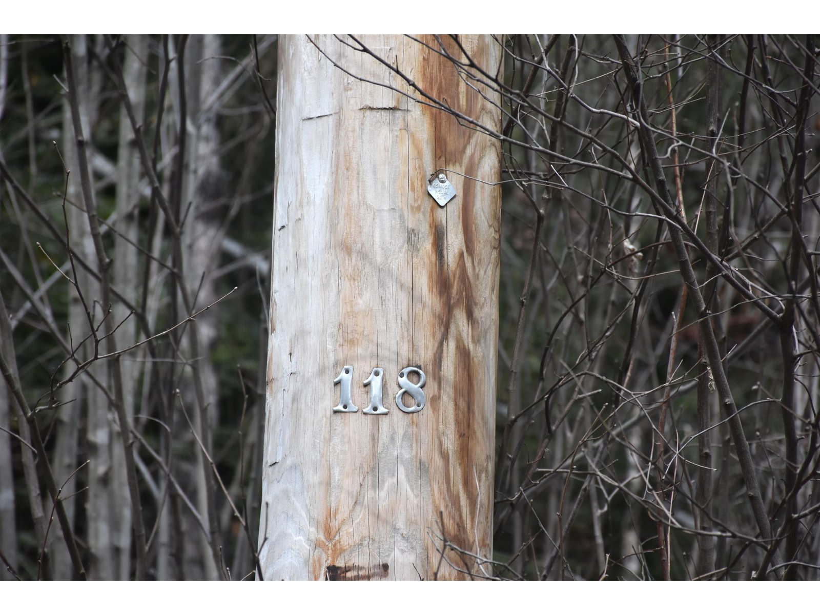 Green Mtn Power Pole 118