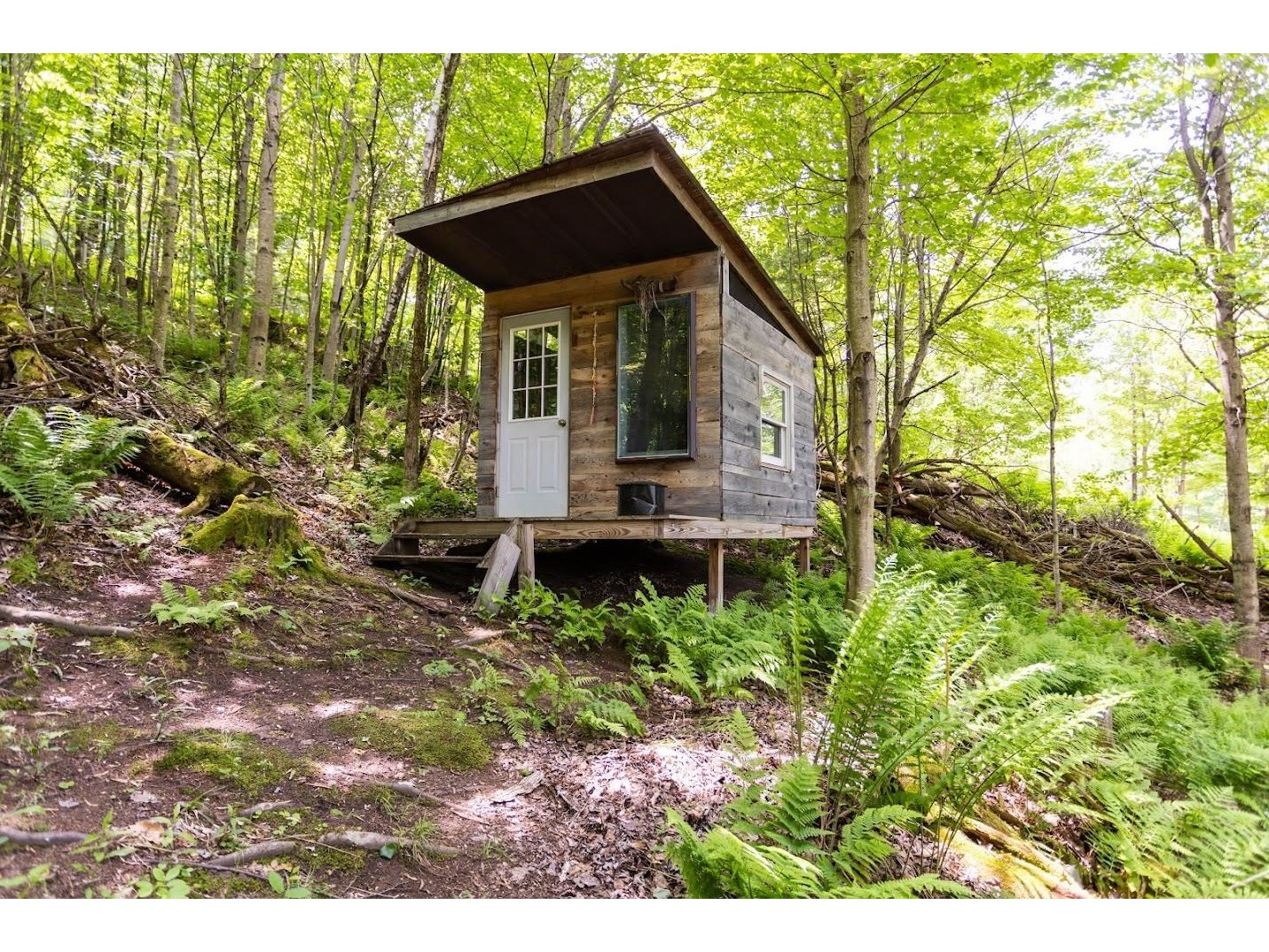 Your own tiny cabin in the backyard